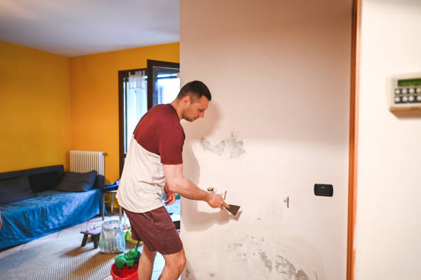 Best Attic Mold Removal  in Dillon, SC